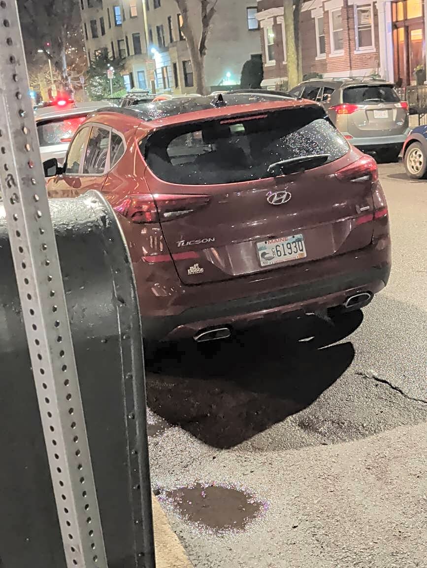 Image submitted with report