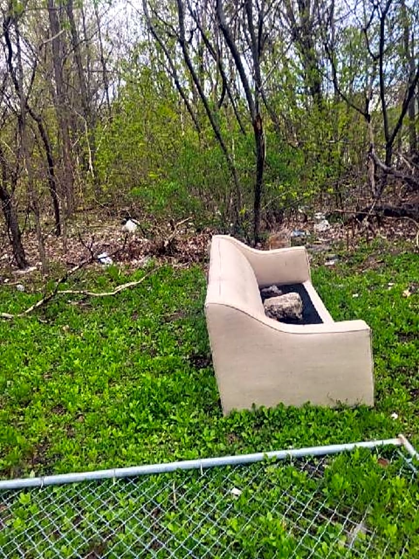 Image submitted with report