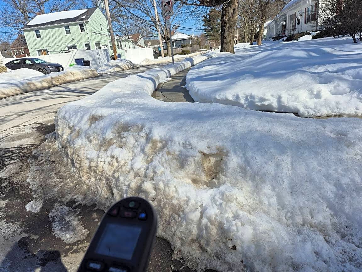 Image submitted with report