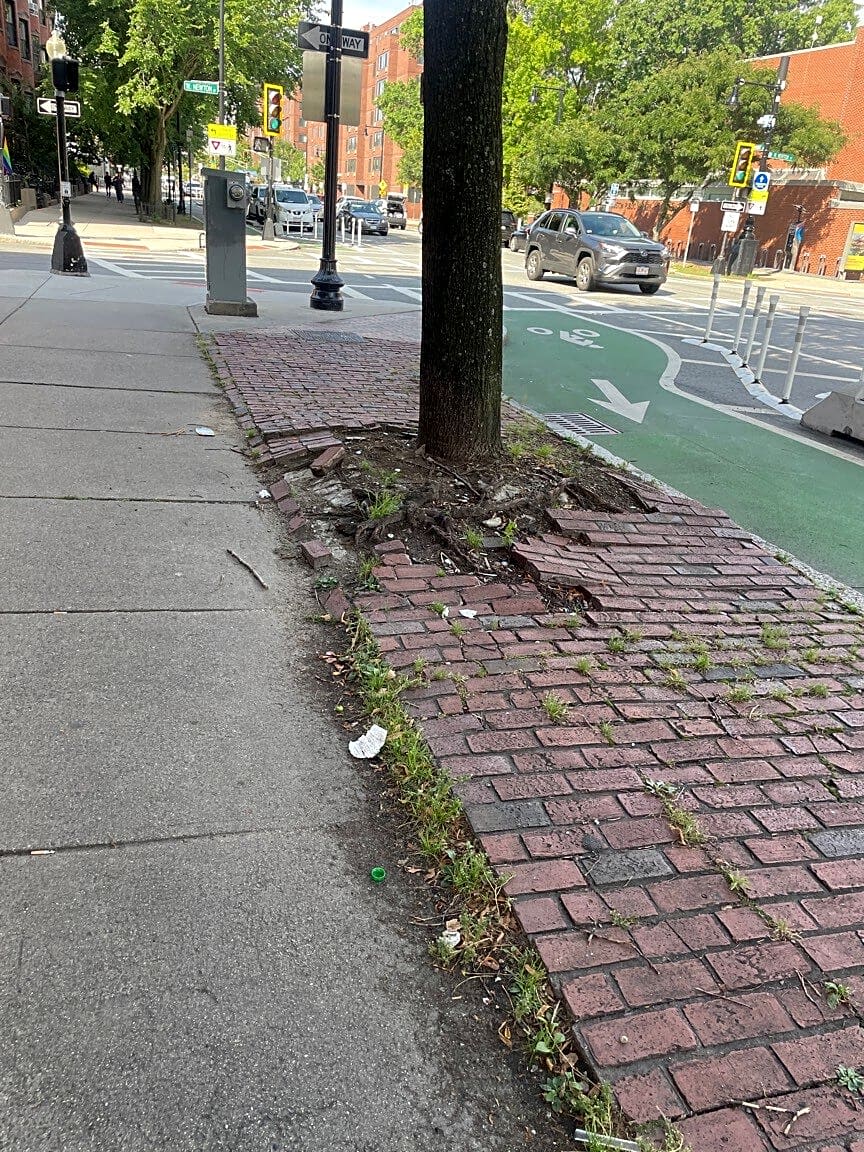 Image submitted with report