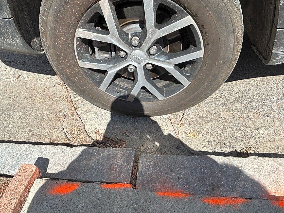 Image submitted with report