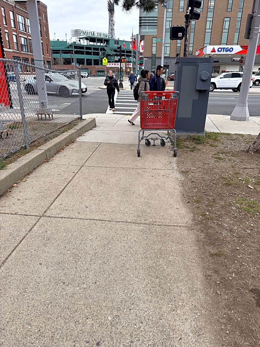 Image submitted with report