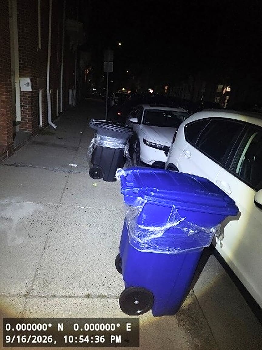 Image submitted with report