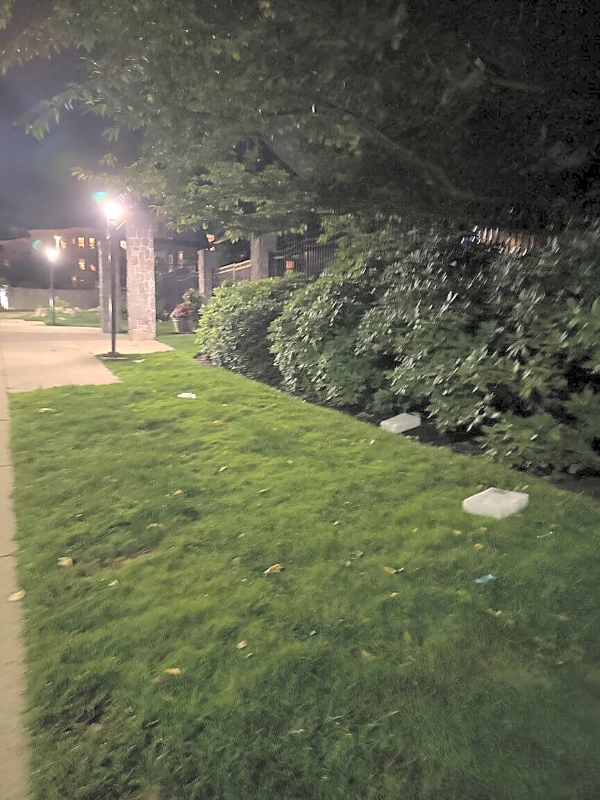 Image submitted with report