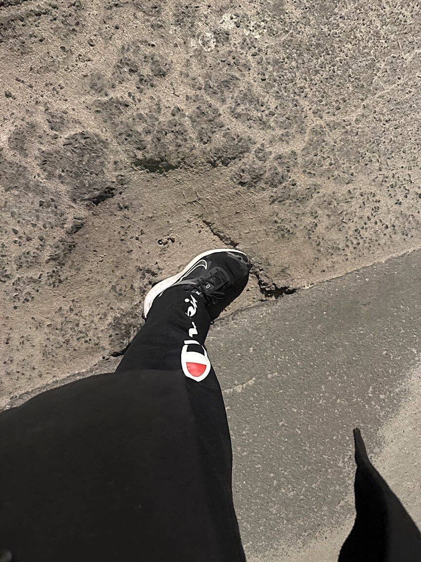 Image submitted with report