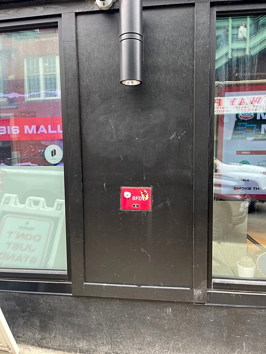 Image submitted with report