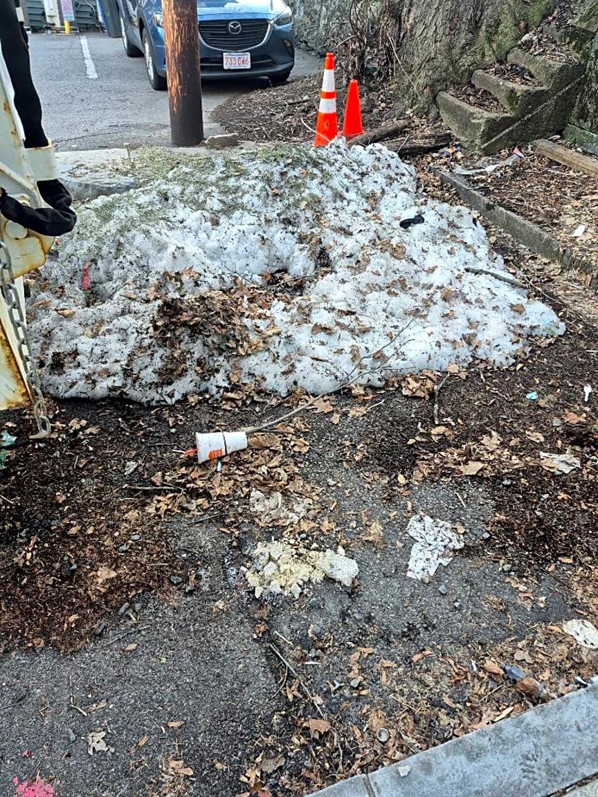 Image submitted with report