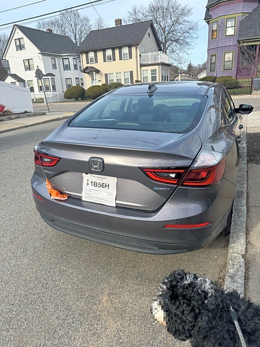 Image submitted with report