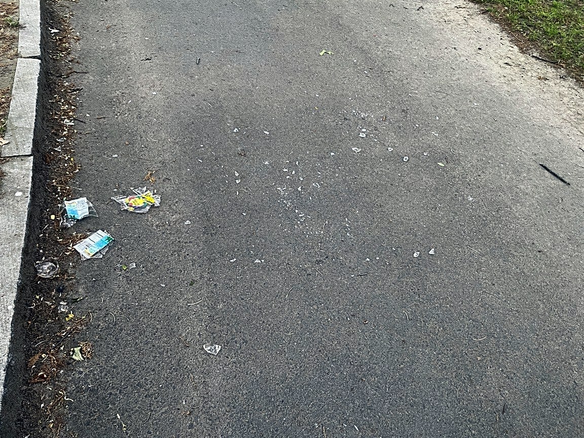 Image submitted with report