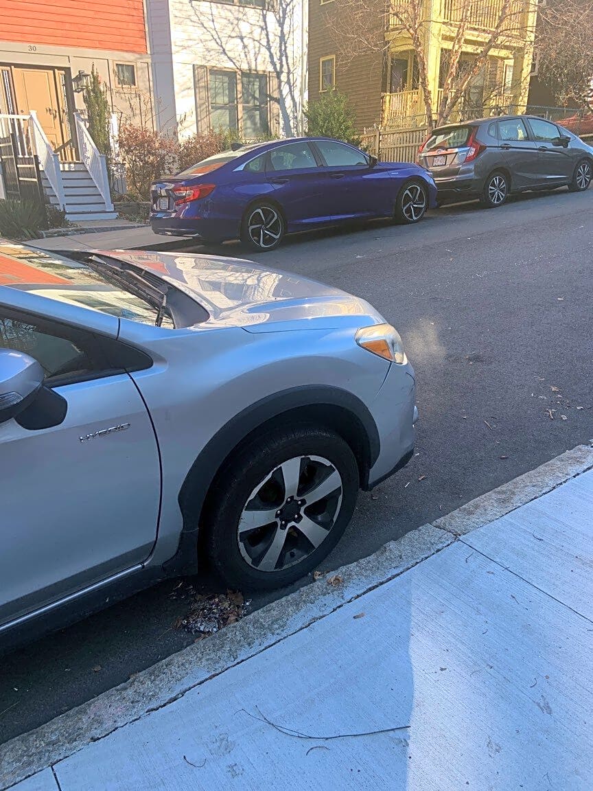 Image submitted with report