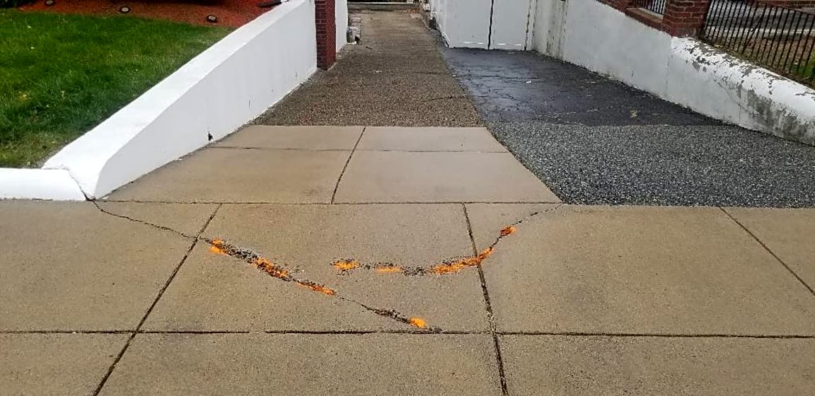 Image submitted with report