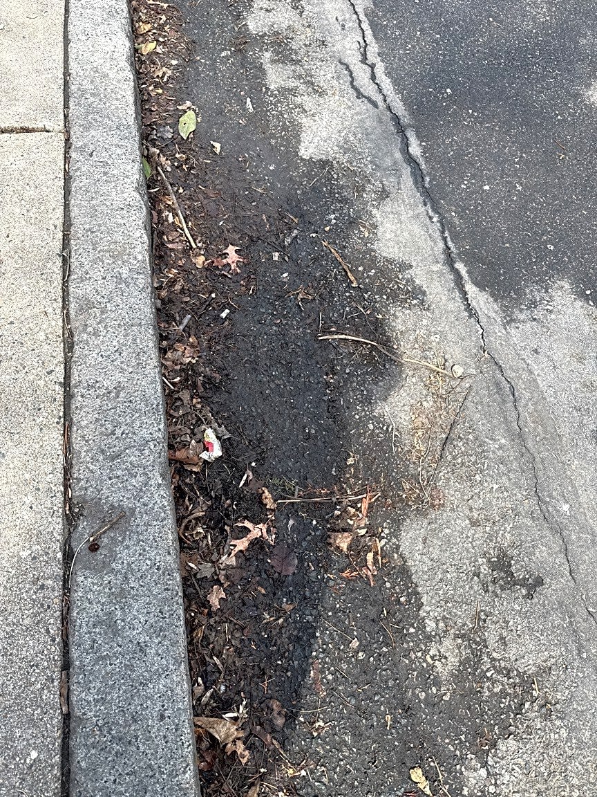 Image submitted with report