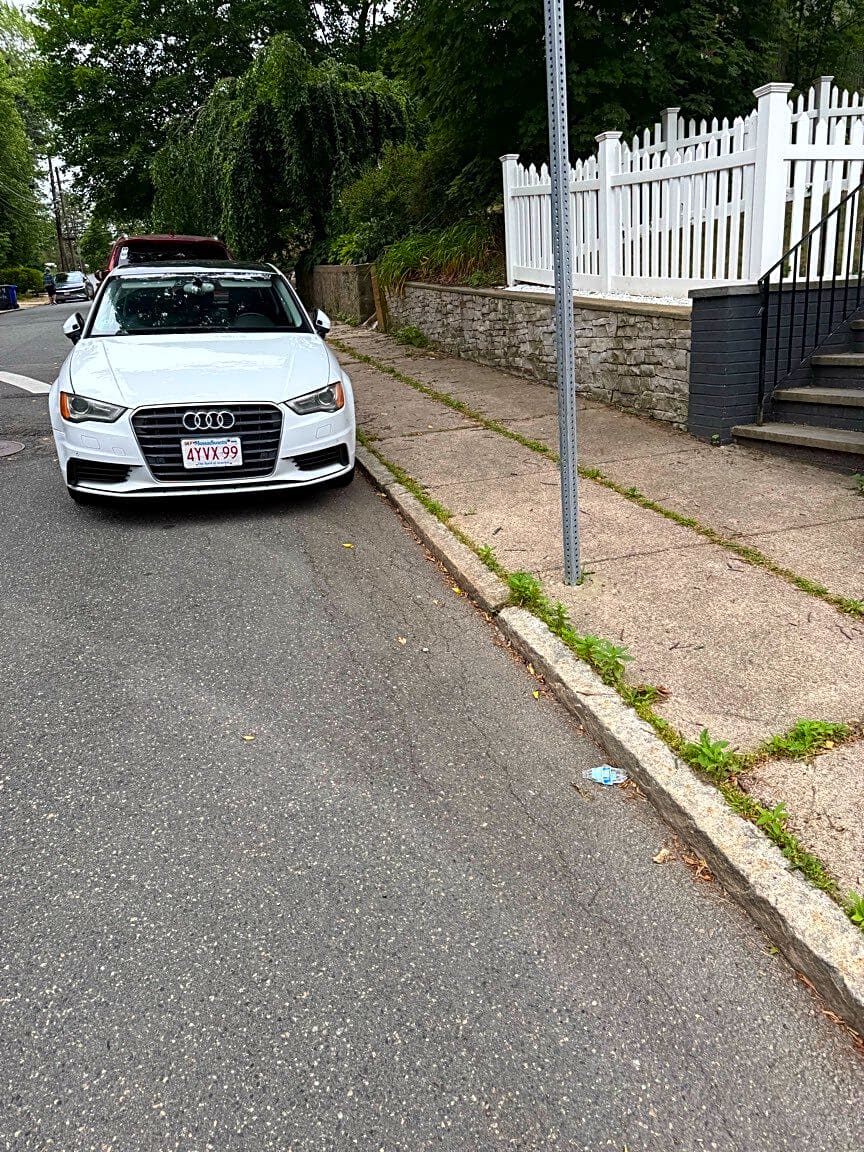 Image submitted with report