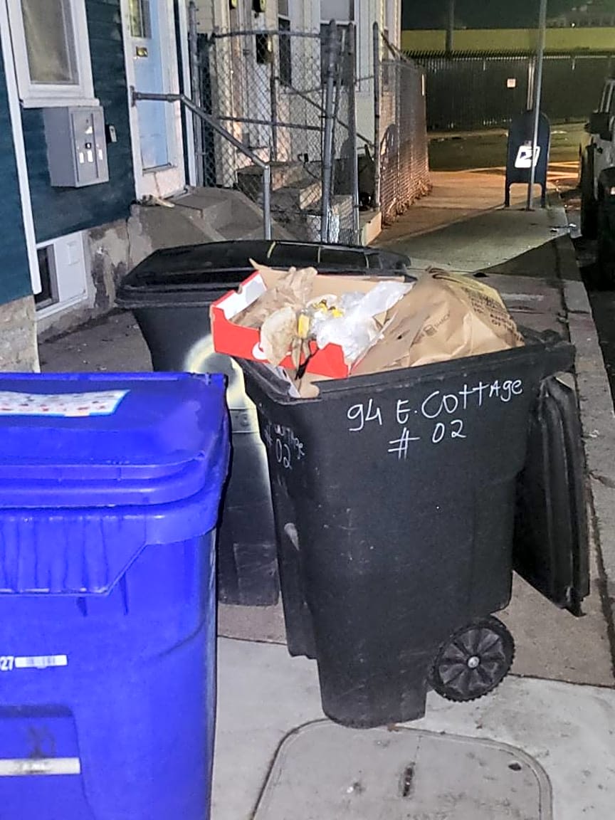 Image submitted with report