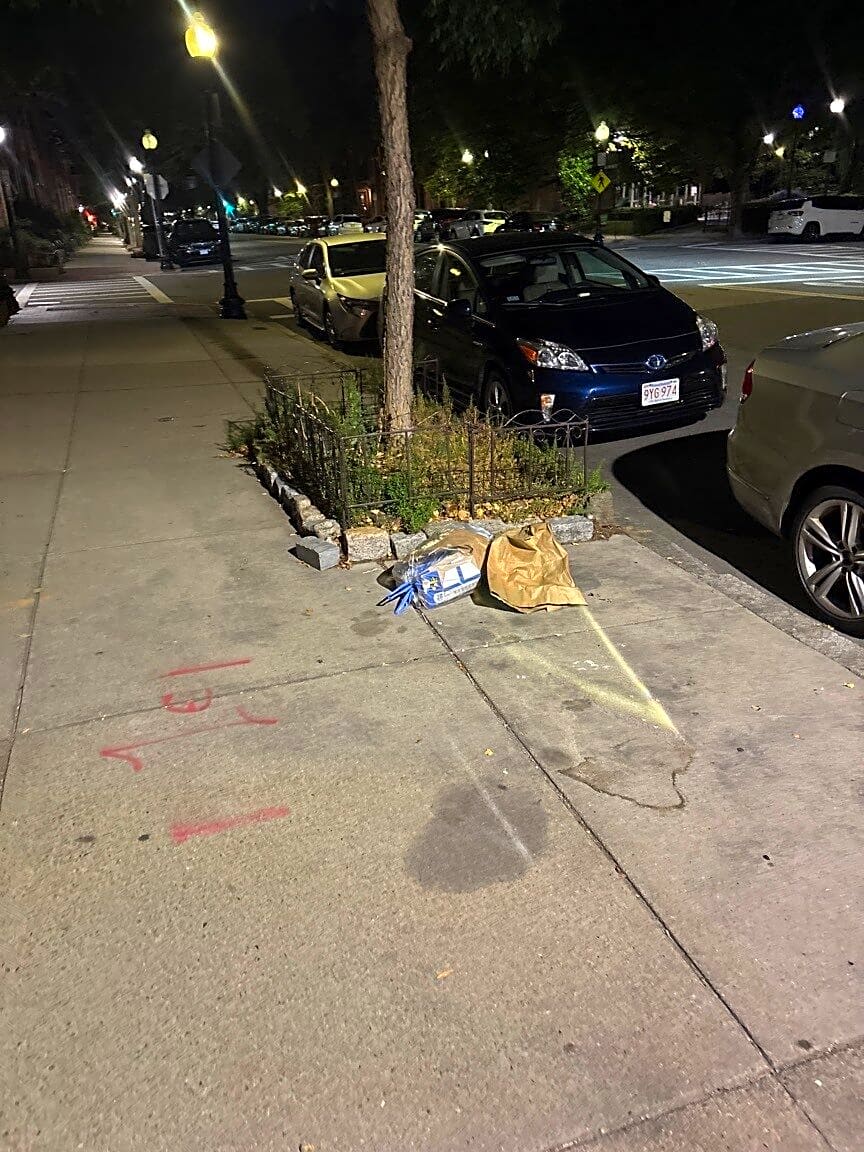 Image submitted with report