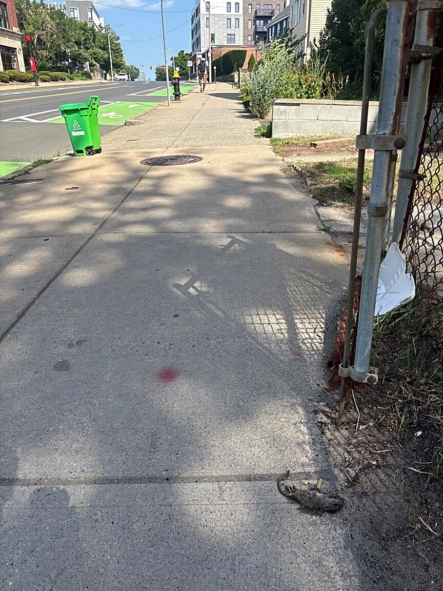 Image submitted with report