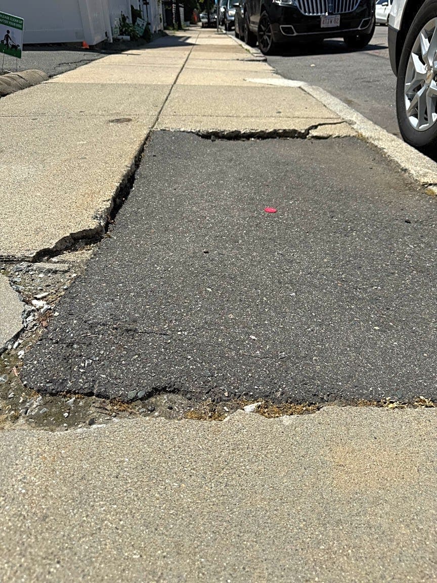 Image submitted with report