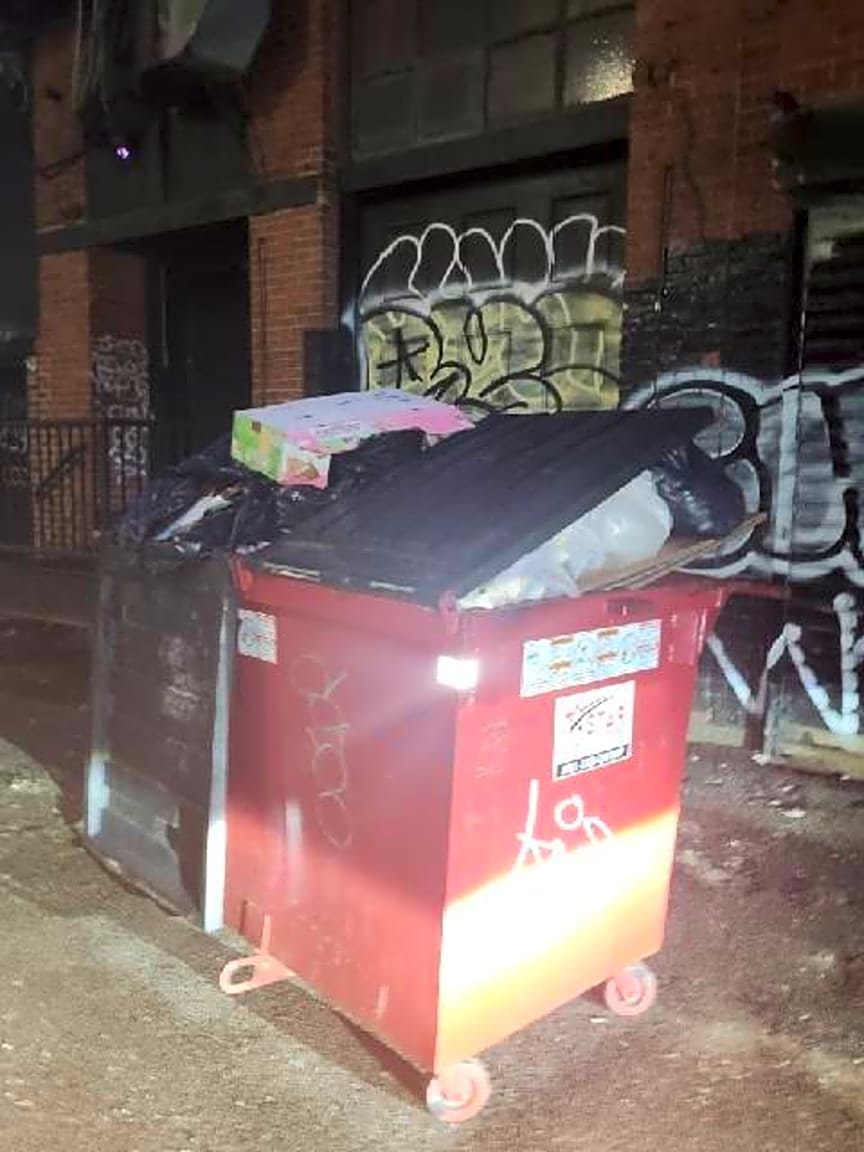 Image submitted with report