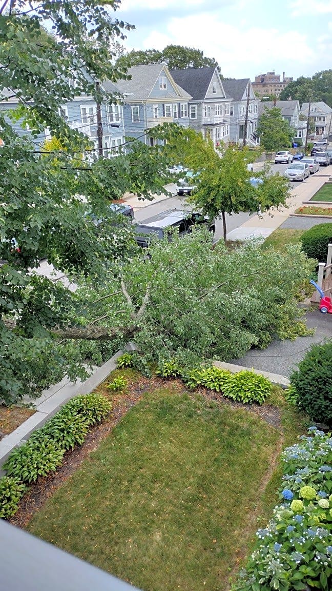 Image submitted with report