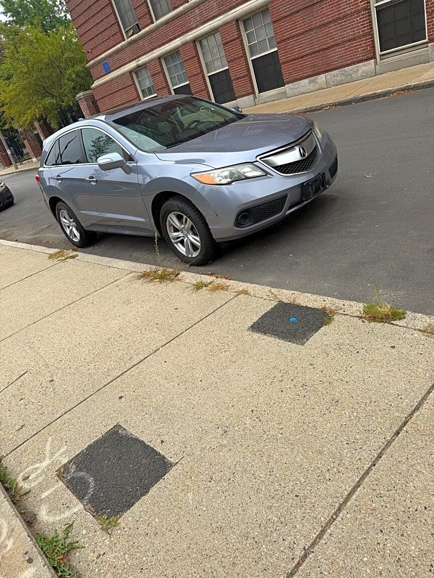 Image submitted with report