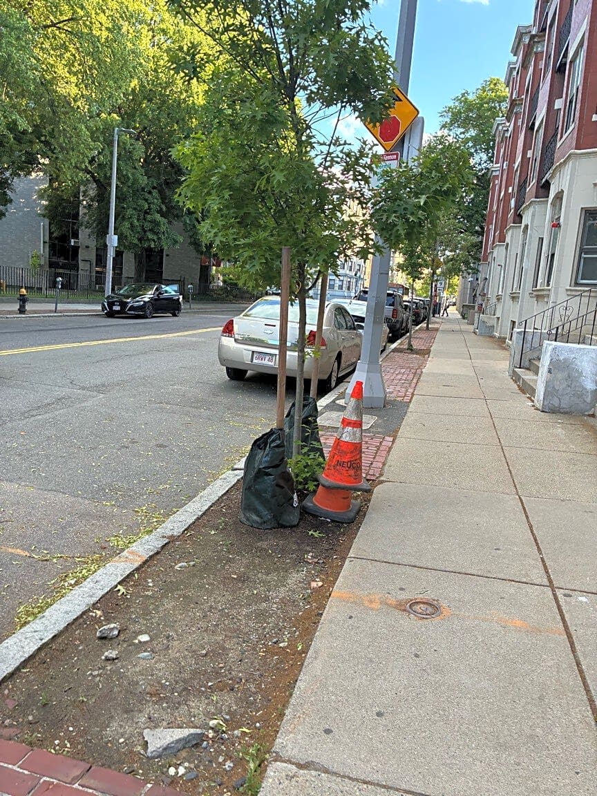 Image submitted with report