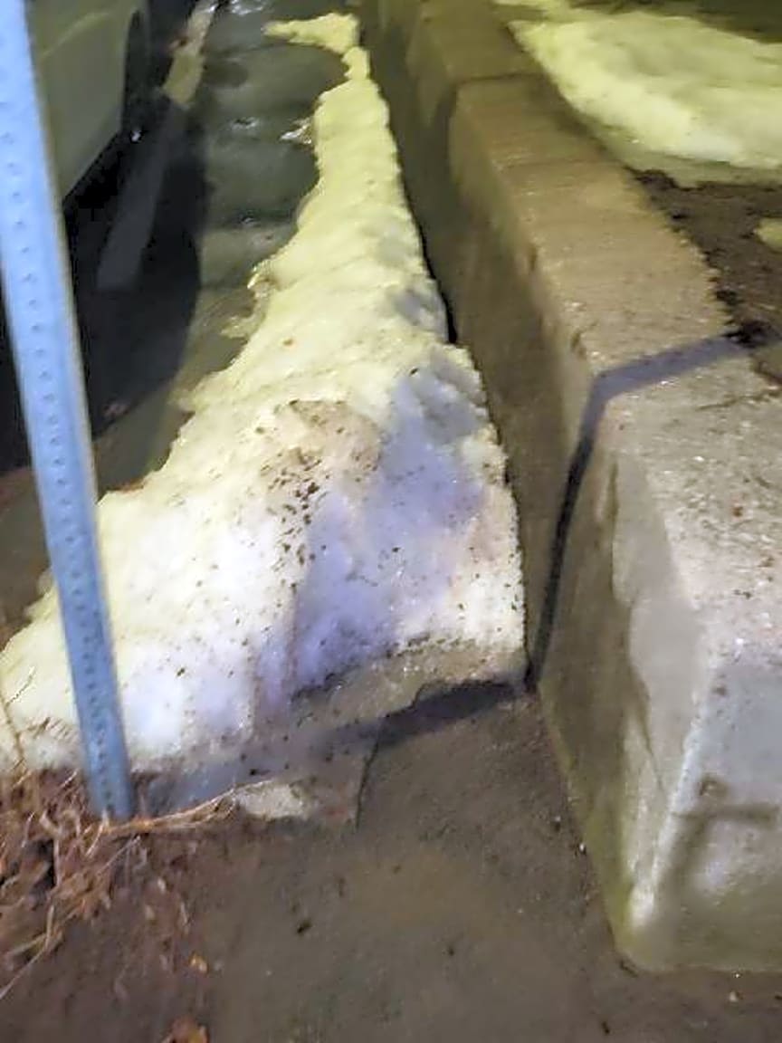 Image submitted with report