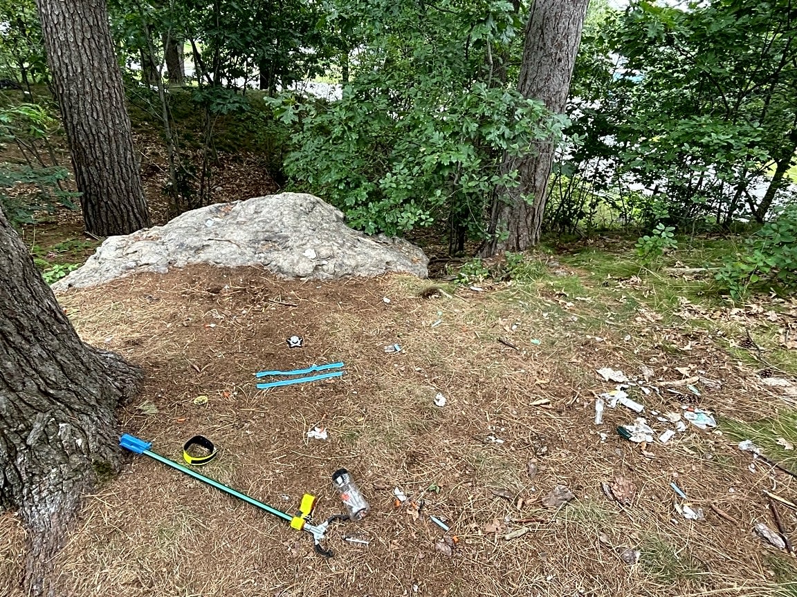 Image submitted with report