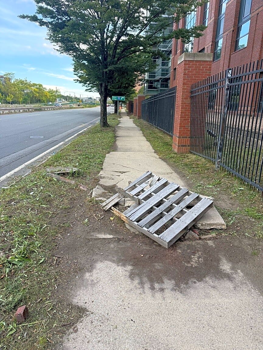 Image submitted with report