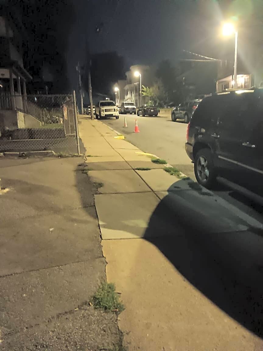Image submitted with report