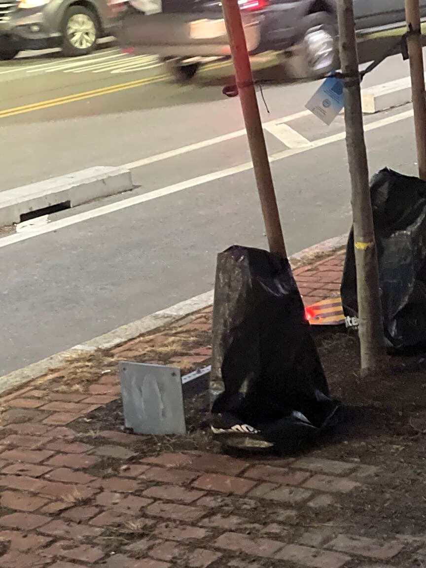 Image submitted with report