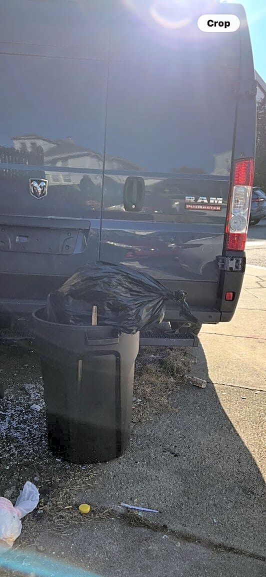 Image submitted with report