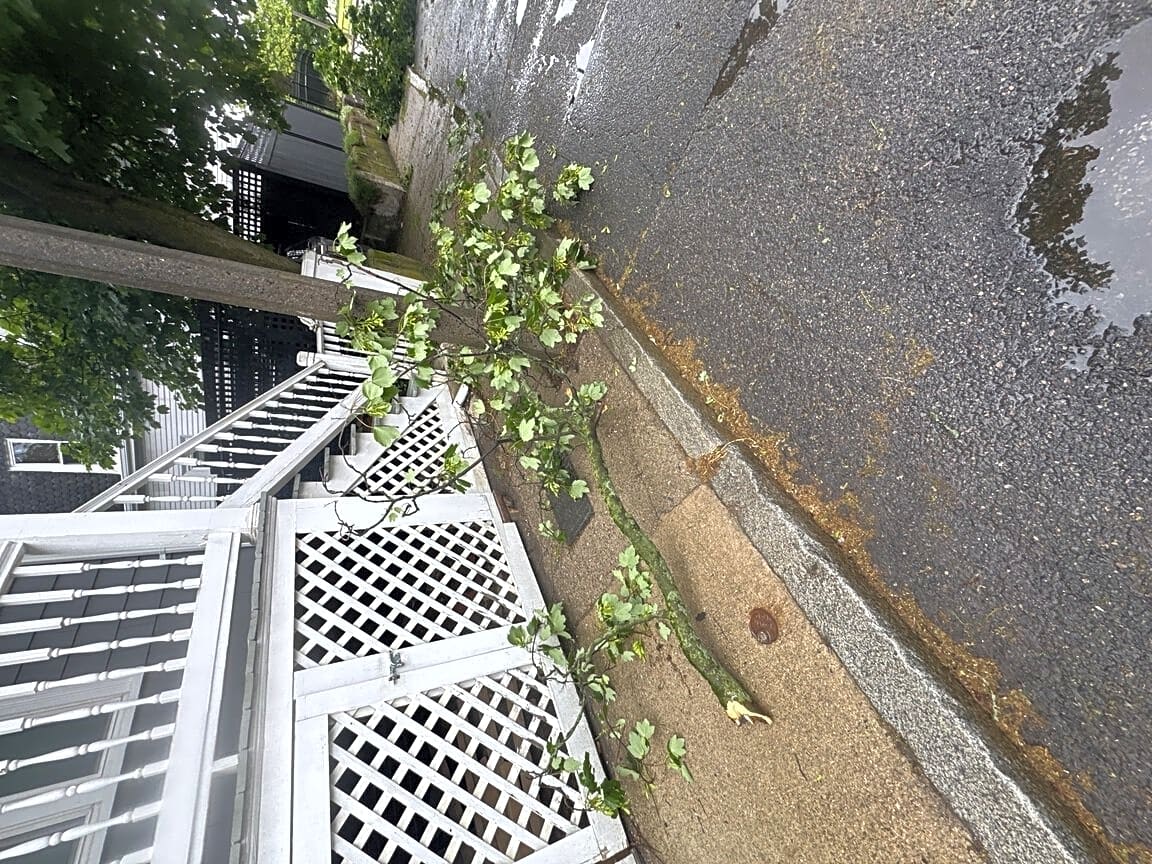 Image submitted with report