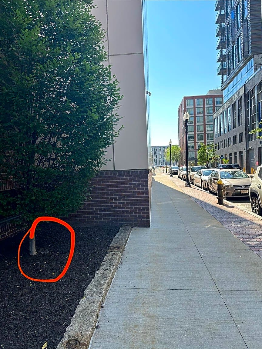 Image submitted with report