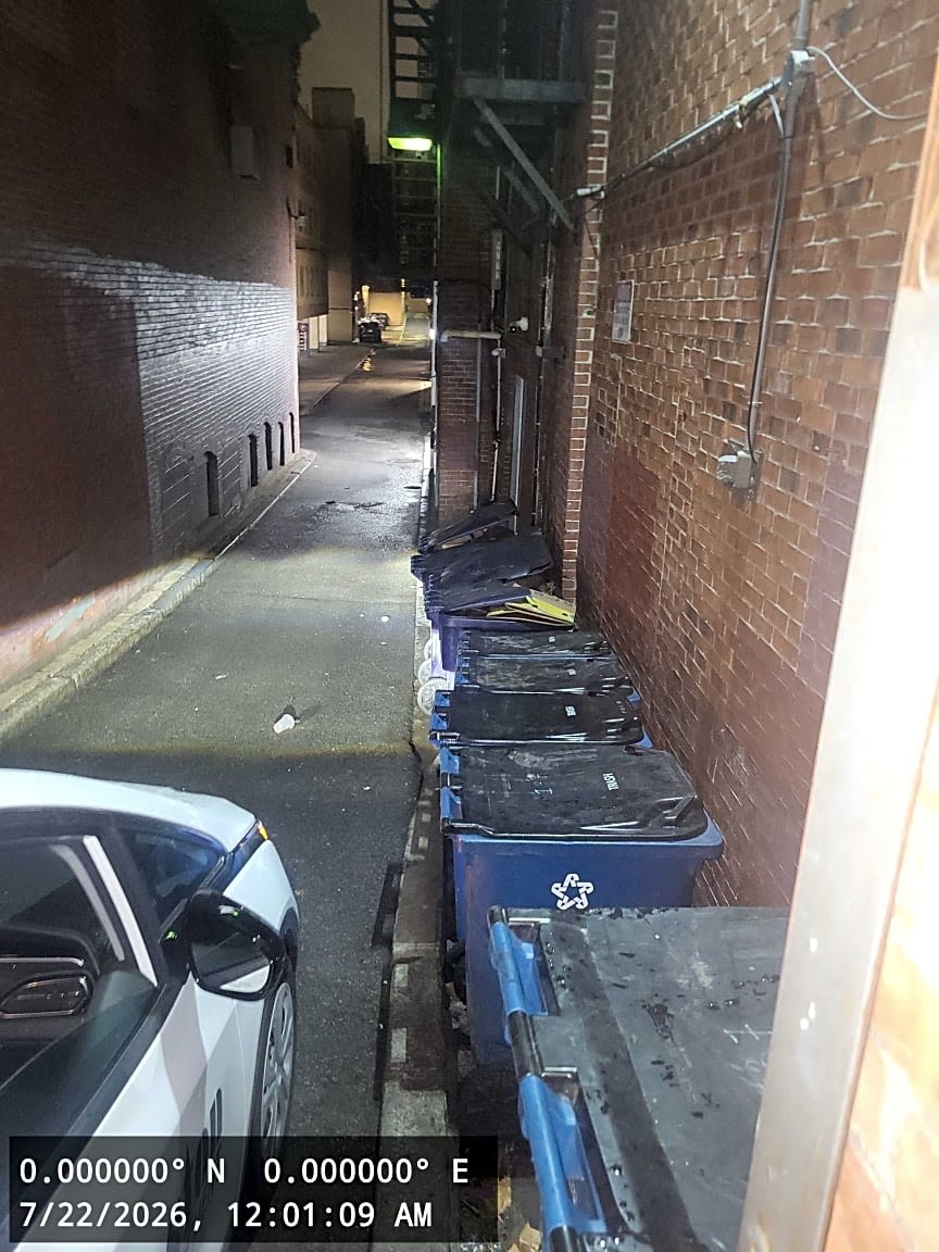 Image submitted with report