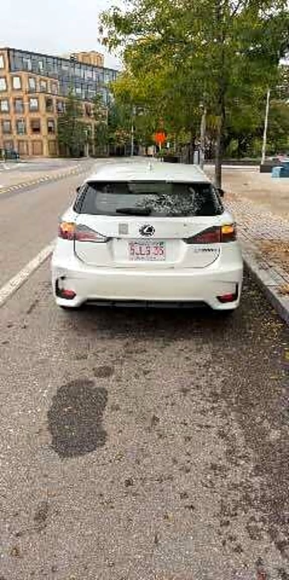 Image submitted with report