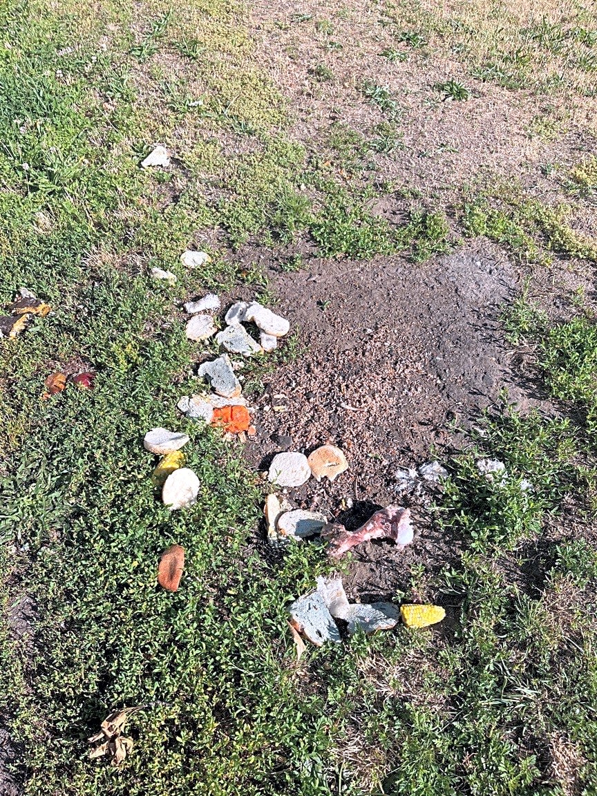 Image submitted with report