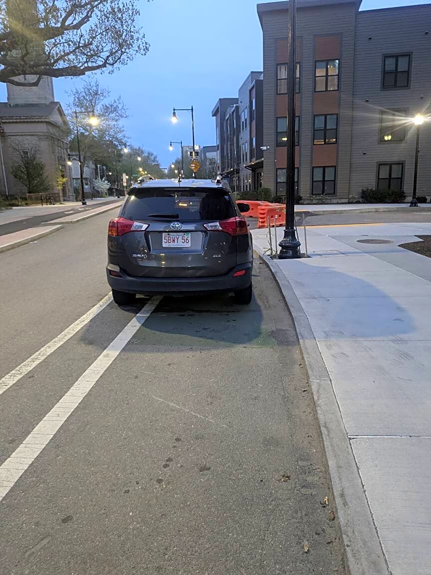 Image submitted with report