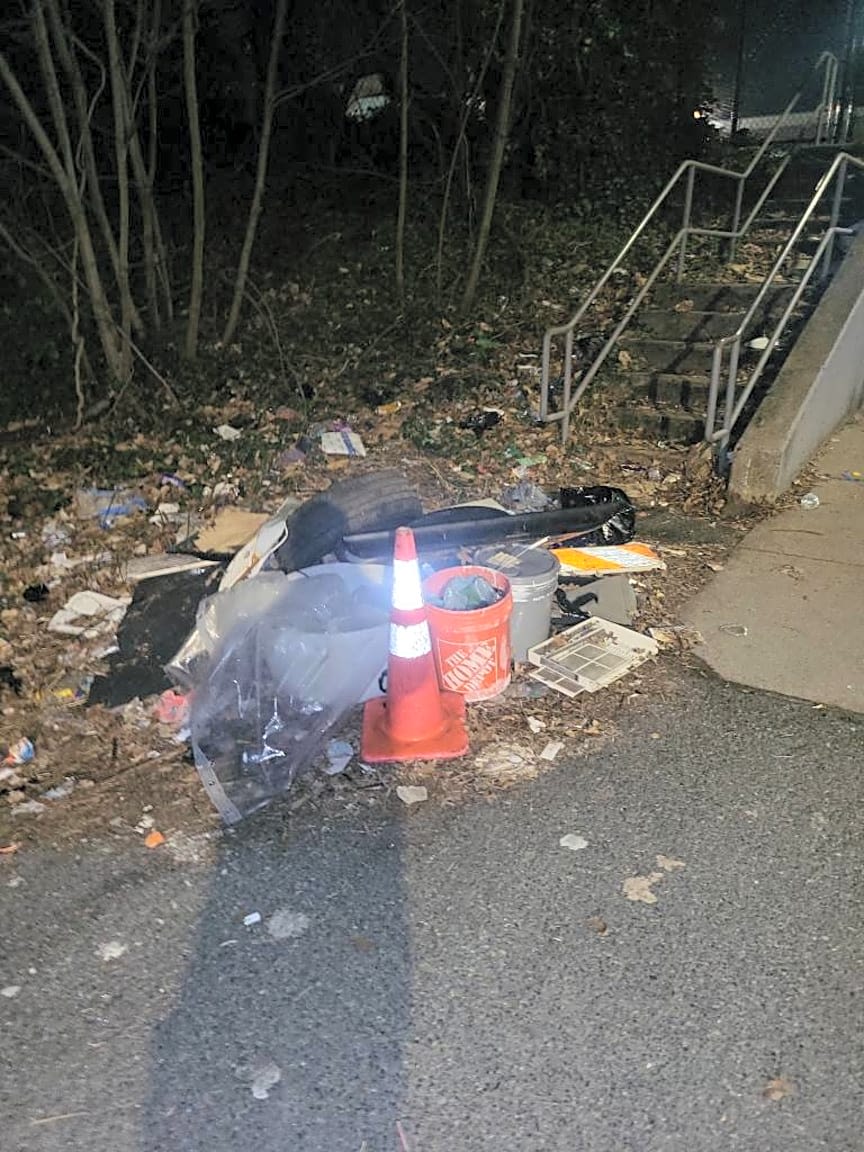 Image submitted with report