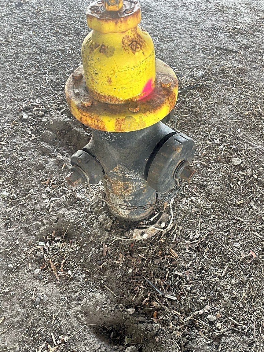 Image submitted with report