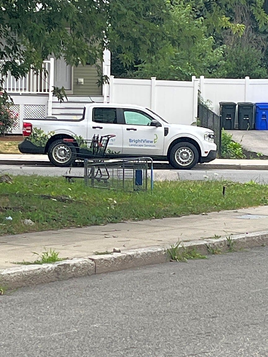 Image submitted with report