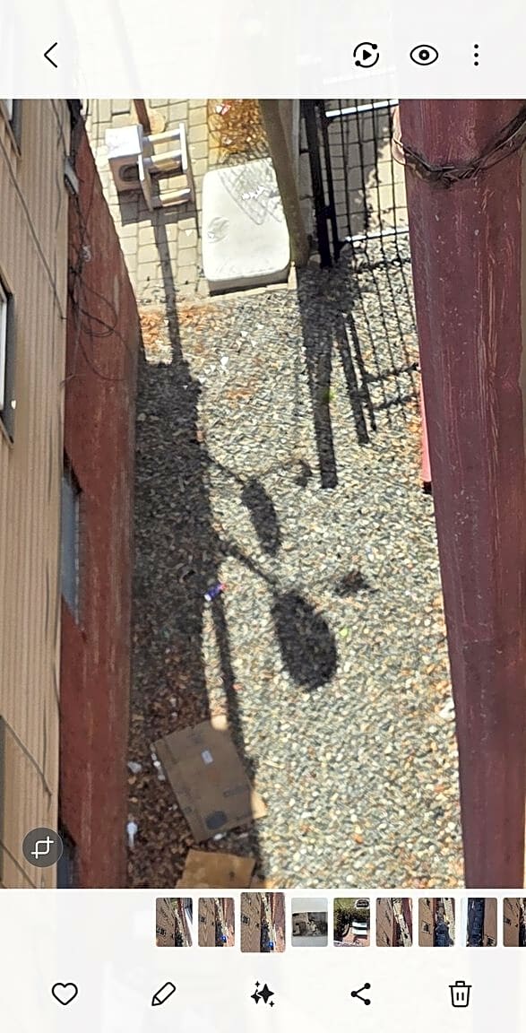 Image submitted with report