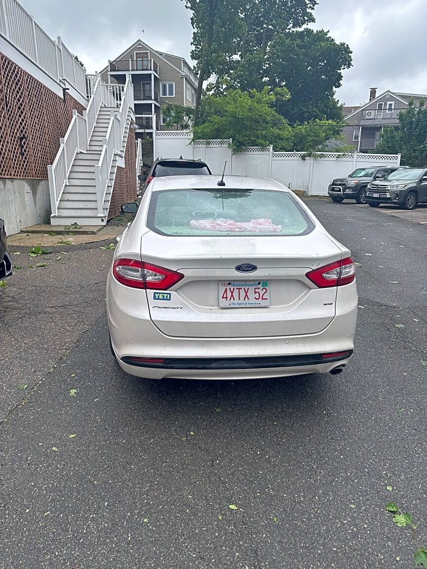 Image submitted with report