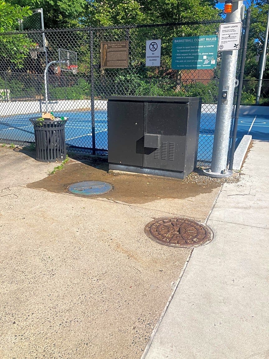 Image submitted with report
