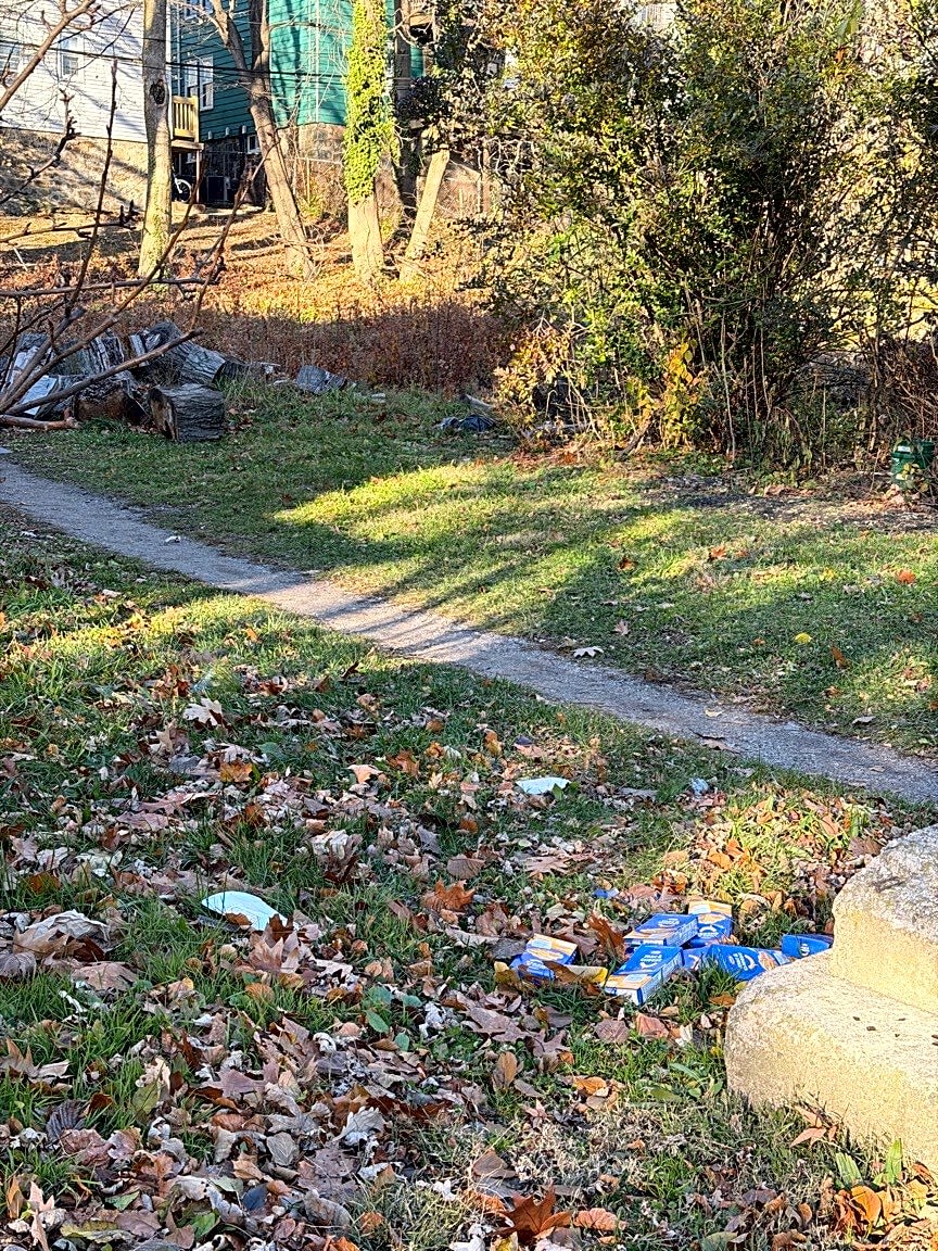 Image submitted with report