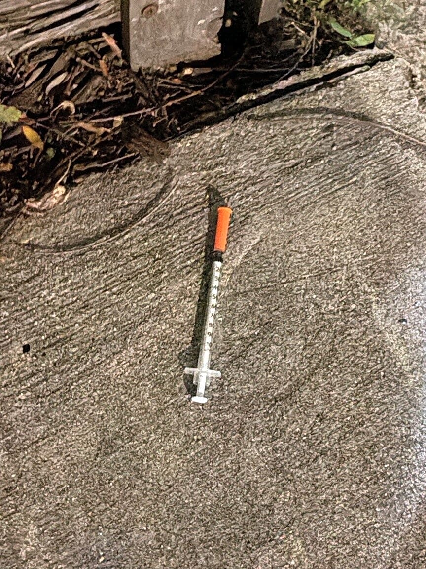 Image submitted with report