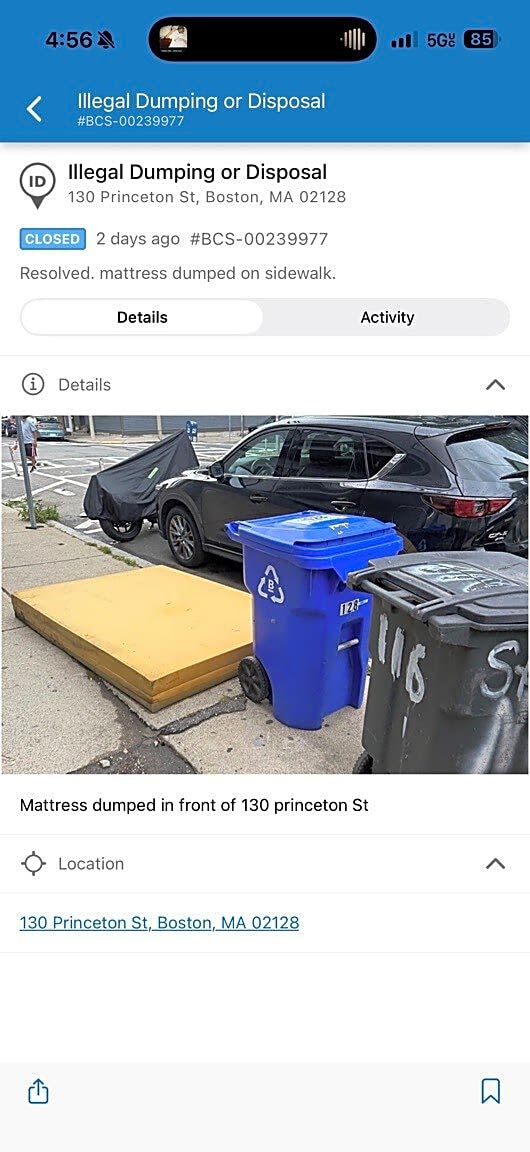 Image submitted with report