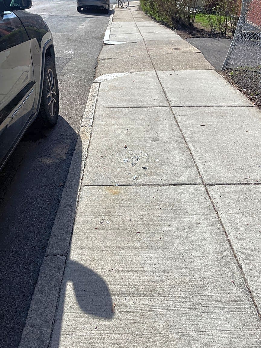 Image submitted with report