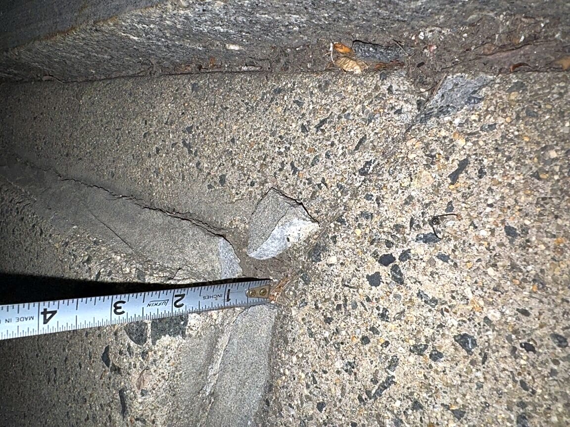 Image submitted with report