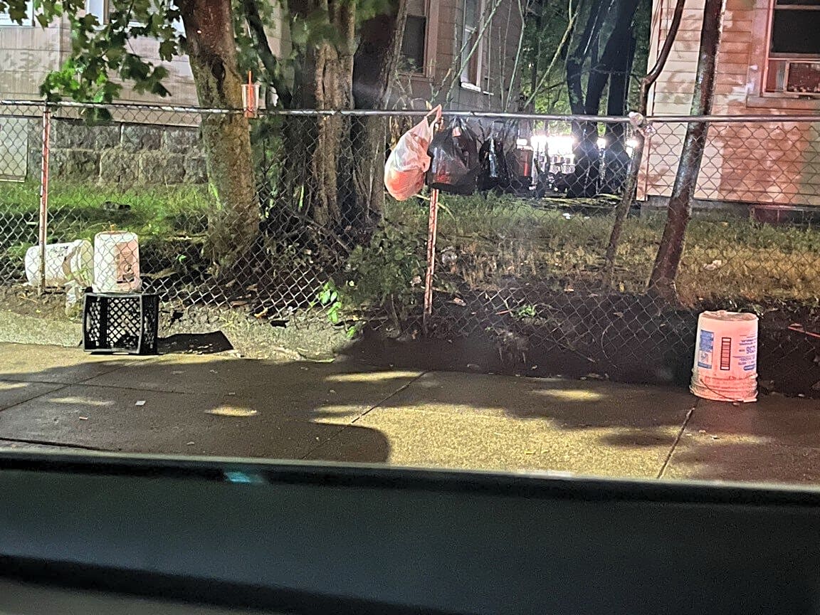 Image submitted with report