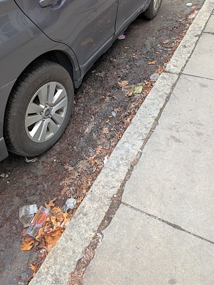 Image submitted with report